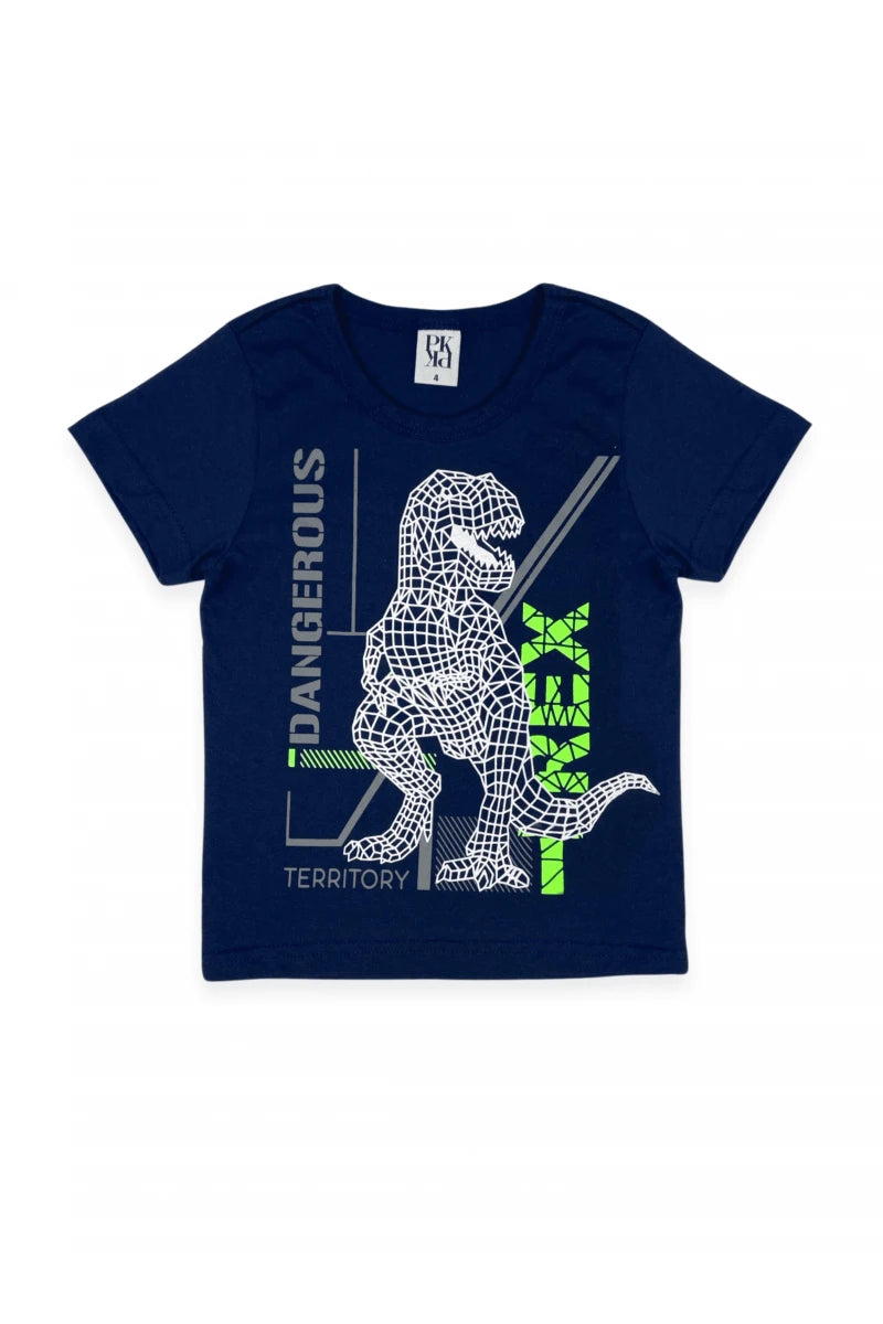 Conjunto Masculino Infantil Dinossauro T-Rex - Tamanho do 4 ao 10